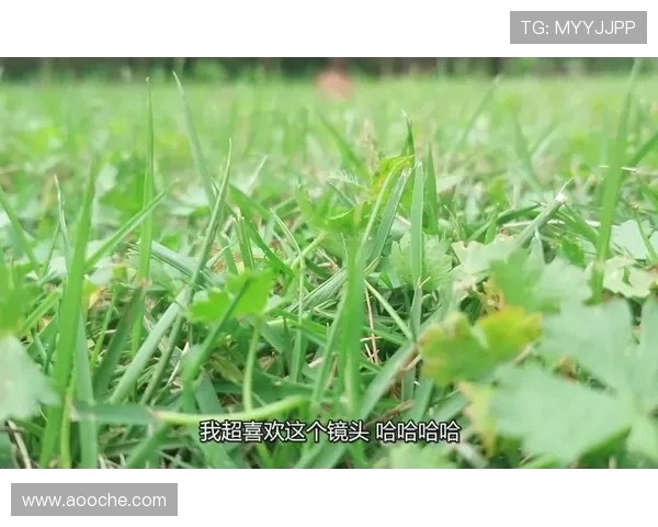 鏂熀鎷夌‘璁わ紒甯曞鍥犳帴浠诲挨鏂囬澶囬槦涓诲竻锛屾枒椹悕瀹垮紑鍚潚璁柊绡囩珷